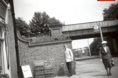 125-The-prefabs-in-Eden-Park-Ave-can-be-seen-through-the-railway-bridge-1955