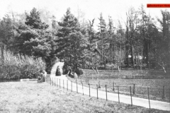 141-The-drive-to-Eden-Lodge-c1905