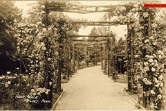 128-Rose-Walk-in-Kelsey-Park-1914