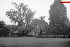 174-The-Merry-wives-of-Windsorpen-air-concert-Kelsey-Park-1953
