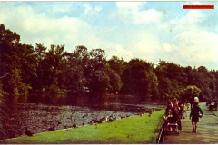 183-Kelsey-Parl-1976