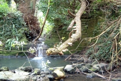 127-Weir-of-St-Jamess-Stream-inside-Bethlem-Grounds-2001
