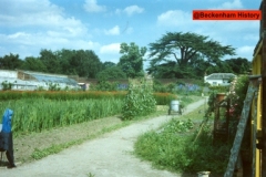 134-Walled-garden-in-Bethlem-grounds-1961